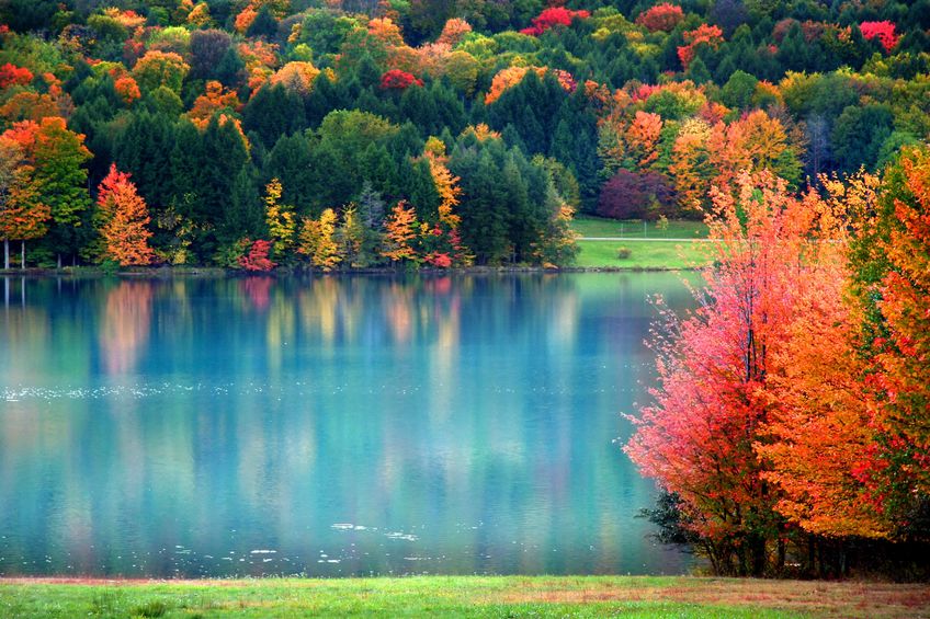 Maine Landscaping